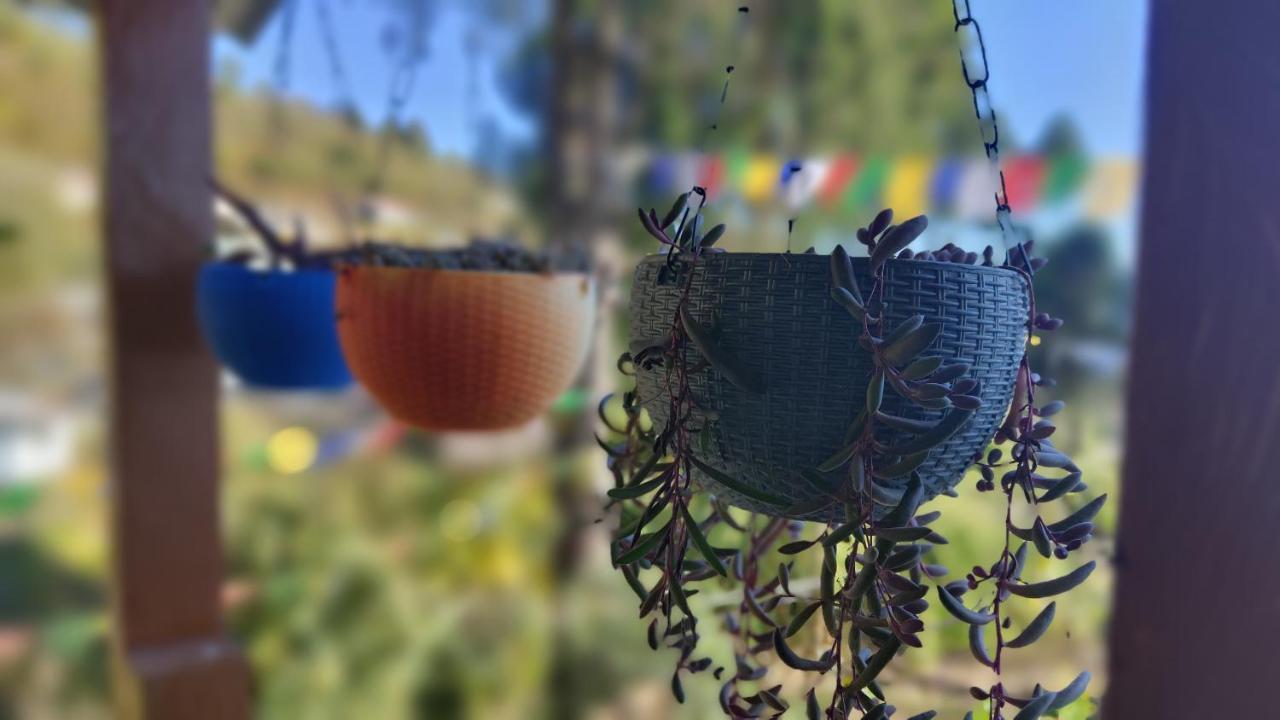 Bomdila Tenzo Homestay المظهر الخارجي الصورة